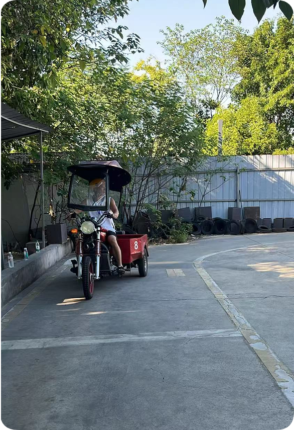 学三轮车驾驶
