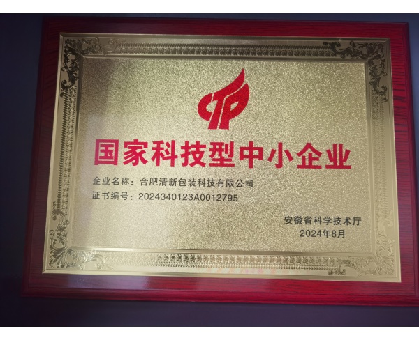 国家科技型中小企业