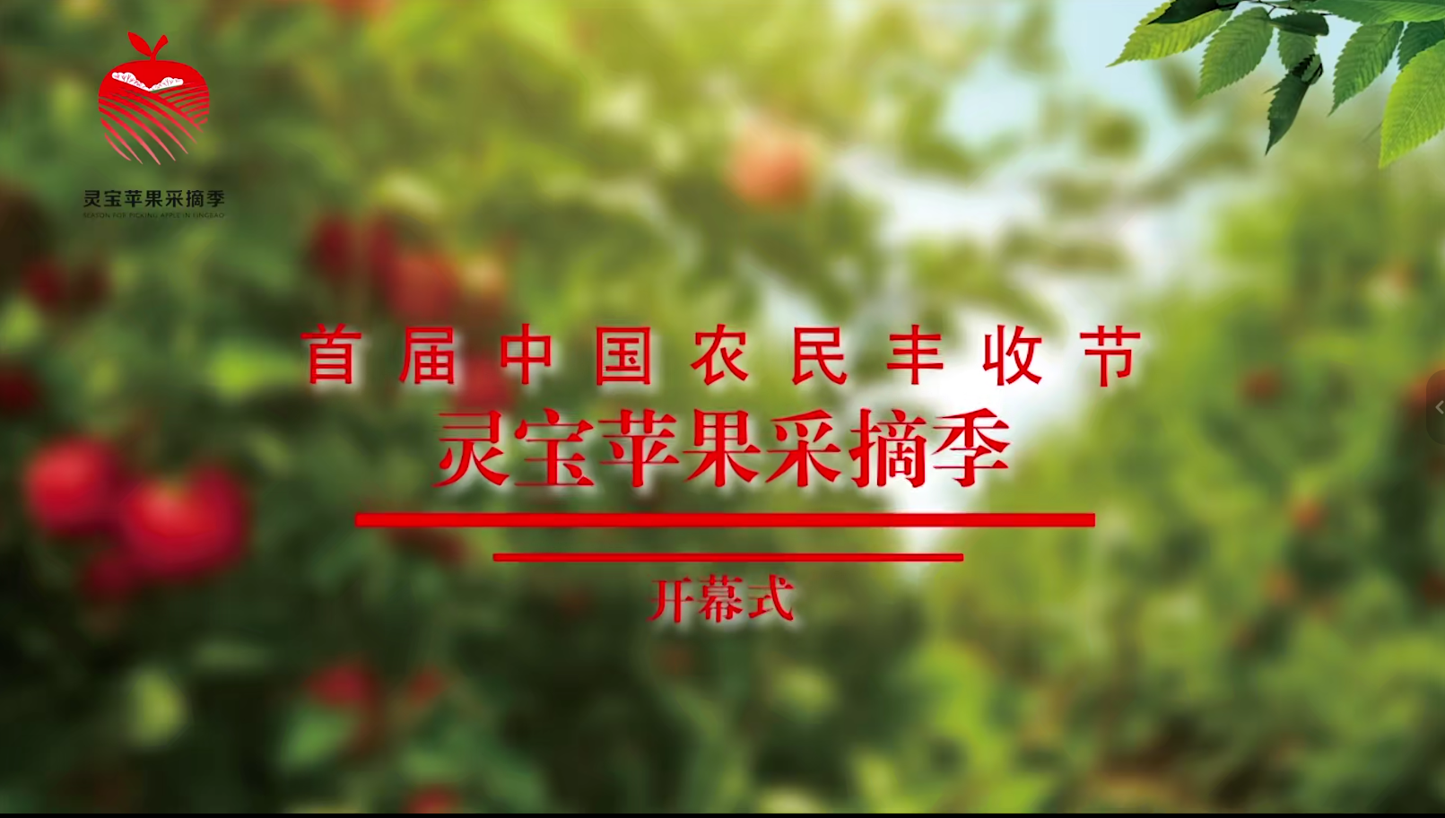 网络直播