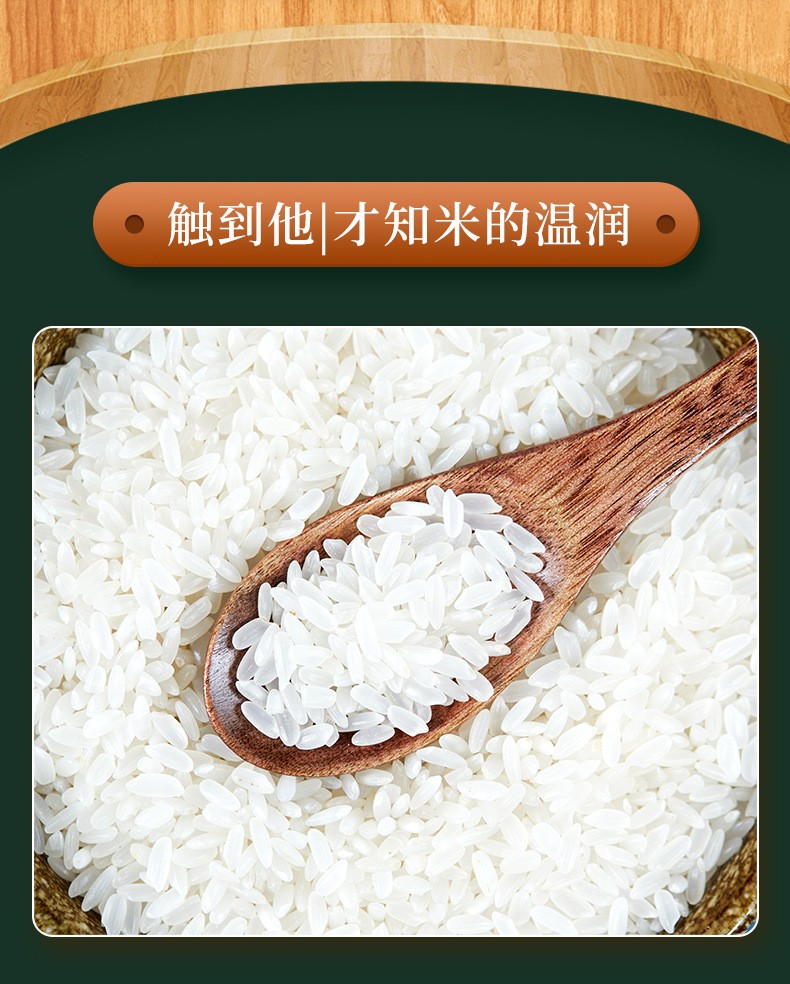 长粒香大米