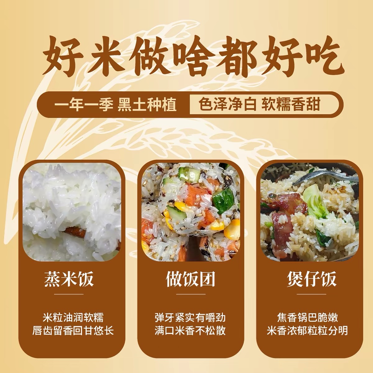 稻花香大米