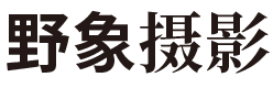 滁州野象婚纱摄影有限公司