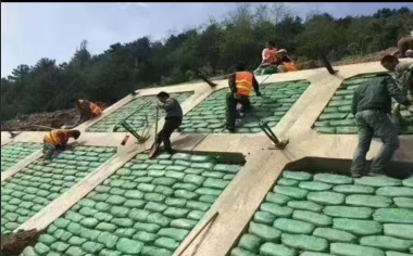 哈尔滨市木兰县全力推进6个重点产业项目 计划投资9亿
