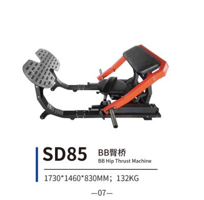 SD85 BB臀桥