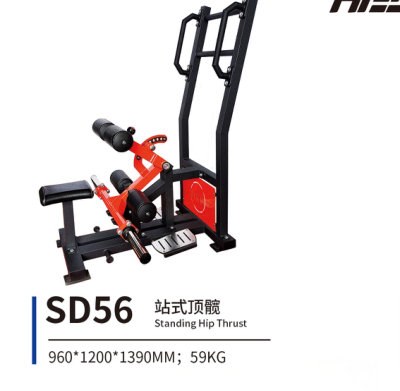 SD56 站式顶髋