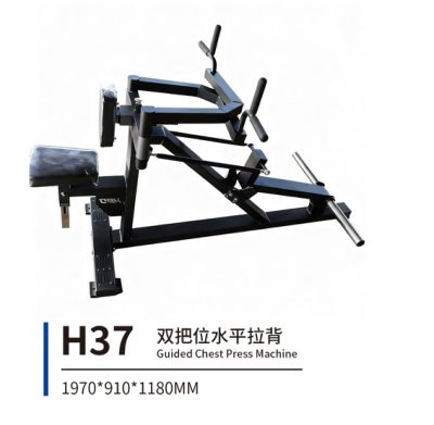H37 双把位水平拉背