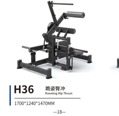 H36 跪姿臂冲