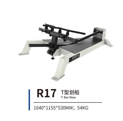 R17 T型划船