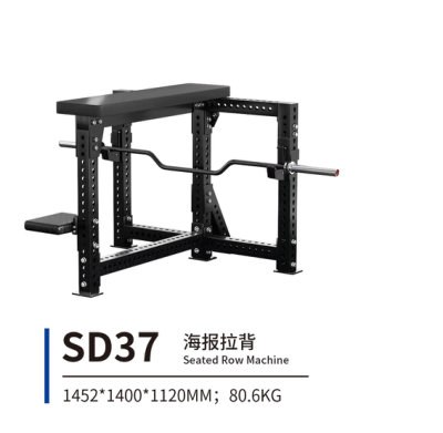 SD37 海报拉背