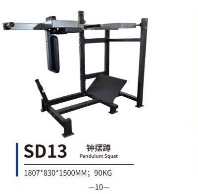 SD13 钟摆蹲