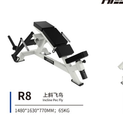 R8 上斜飞鸟