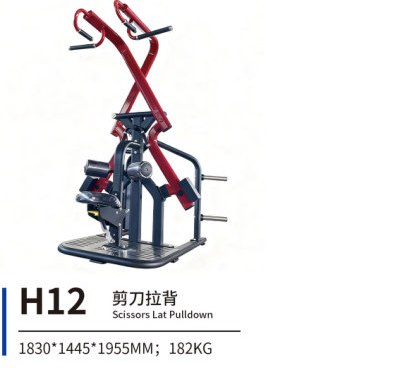 H12 剪刀拉背