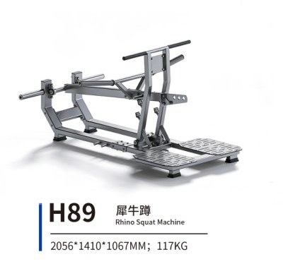 H89 犀牛蹲