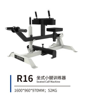 R16 坐式小腿训练器