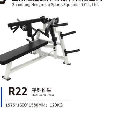 R22 平卧推举