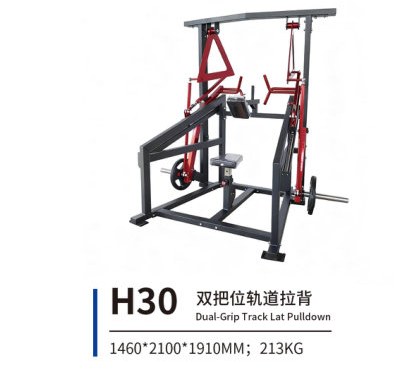 H30 双把位轨道拉背
