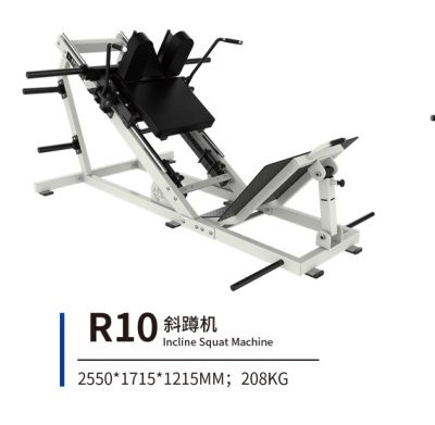 R10 斜蹲机