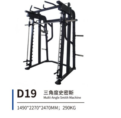 D19 三角座史密斯