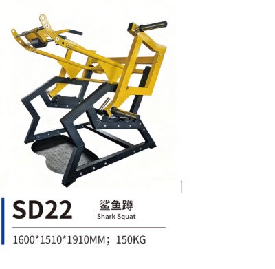 SD22 鲨鱼蹲
