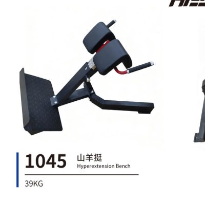 1045 山羊挺