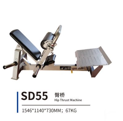 SD55 臀桥