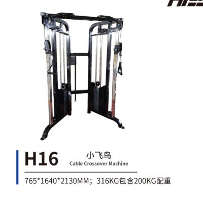 H16 小飞鸟