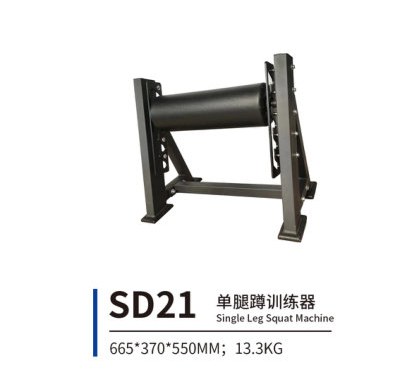 SD21 单腿蹲训练器