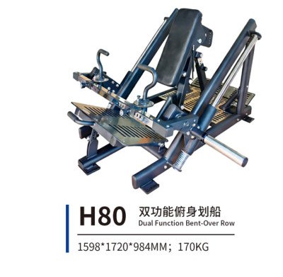H80 双功能俯身划船