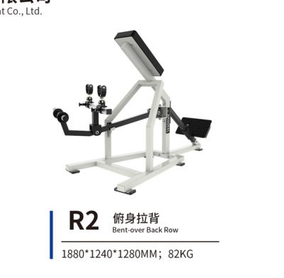 R2 俯身拉背