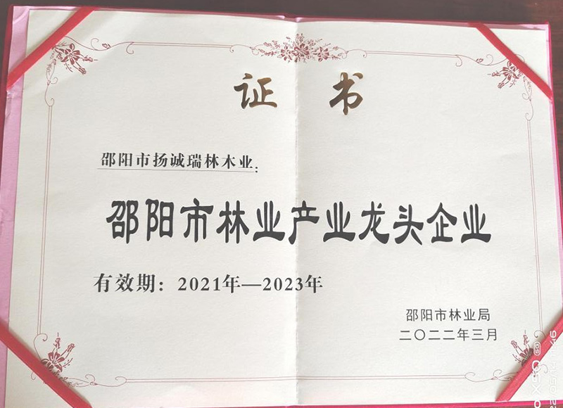 邵阳市林业产业龙头企业