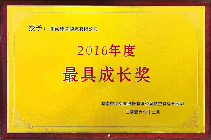 最具成长奖