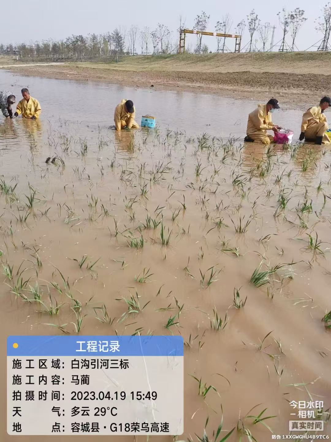 白沟引河三标