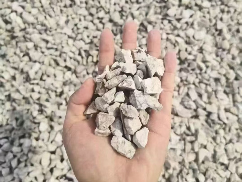 沸石