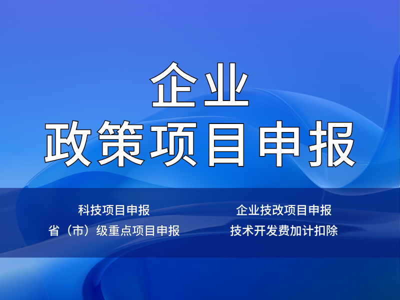 企业政策项目申报