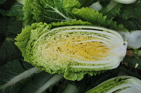 食材配送