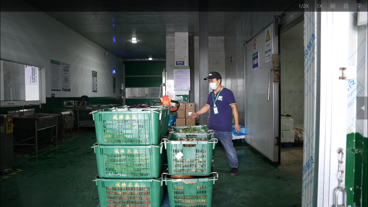 聚焦校园食堂保障，宁波诚峰农业以阳光配送筑牢师生舌尖安全防线