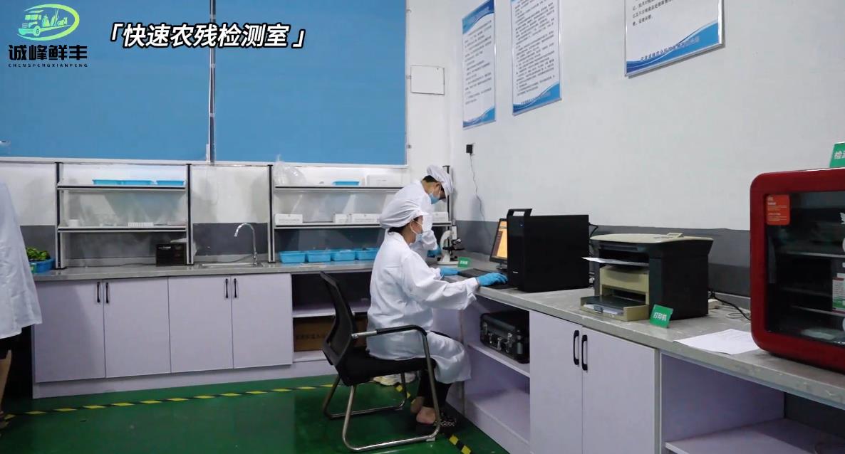 深耕本地化供应链，宁波食材配送行业打通产销两端助力民生保供