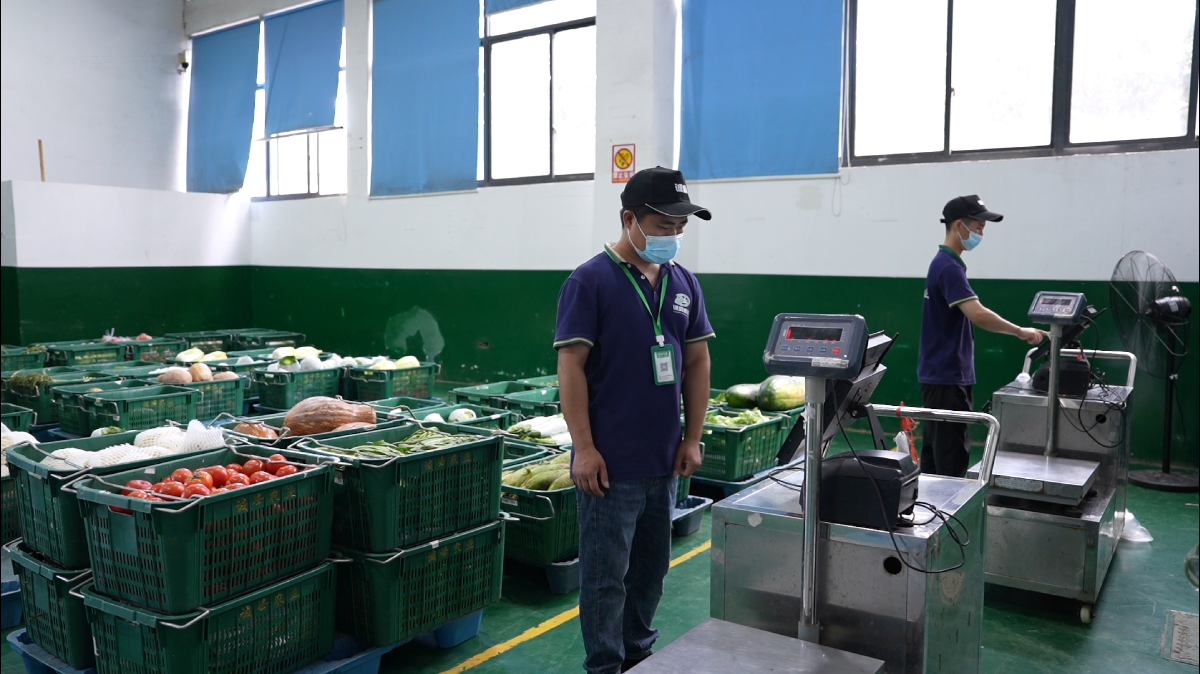 适配康养机构特殊饮食需求，宁波诚峰农业精细化食材配送收获养老机构口碑认可