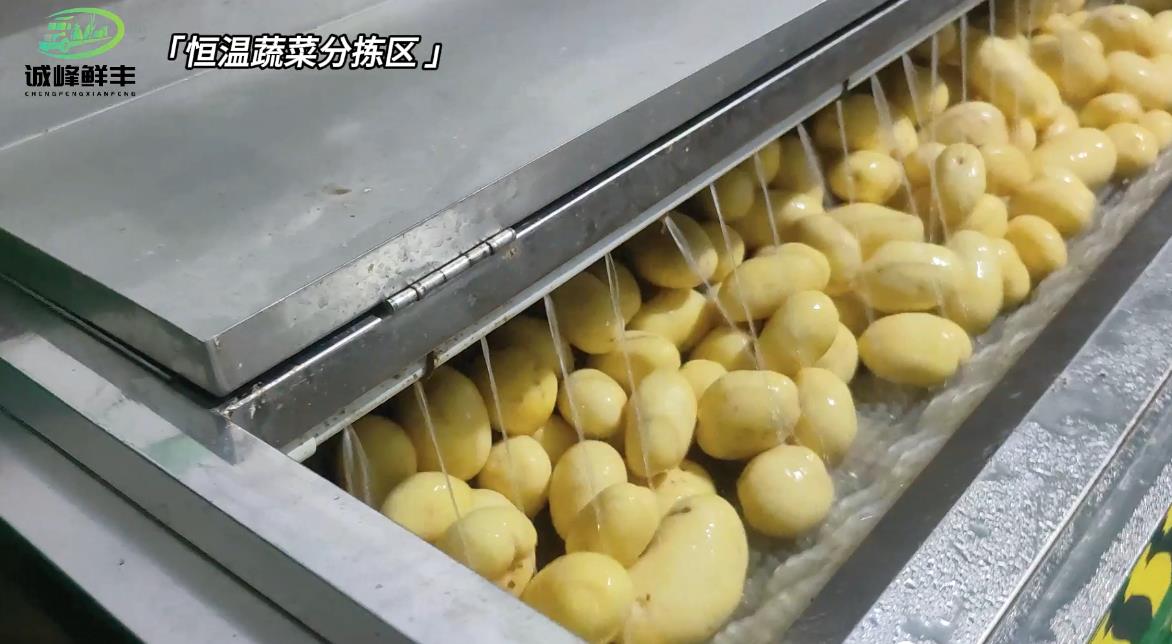 业务边界持续拓宽，宁波生鲜食材配送行业走向一体化综合服务时代