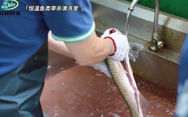 食材加工区 