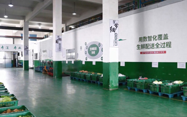 分拣投筐区