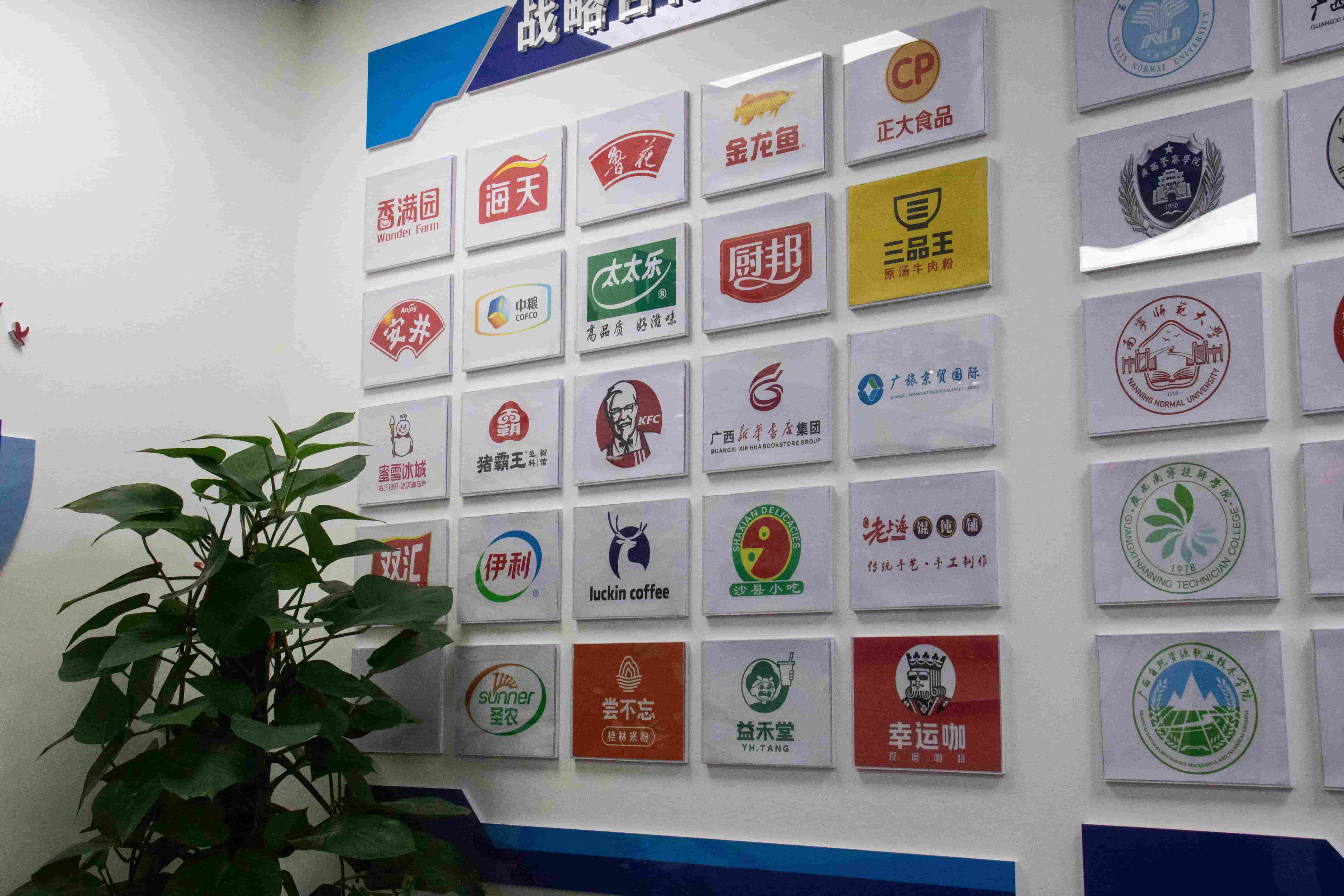 项目案例