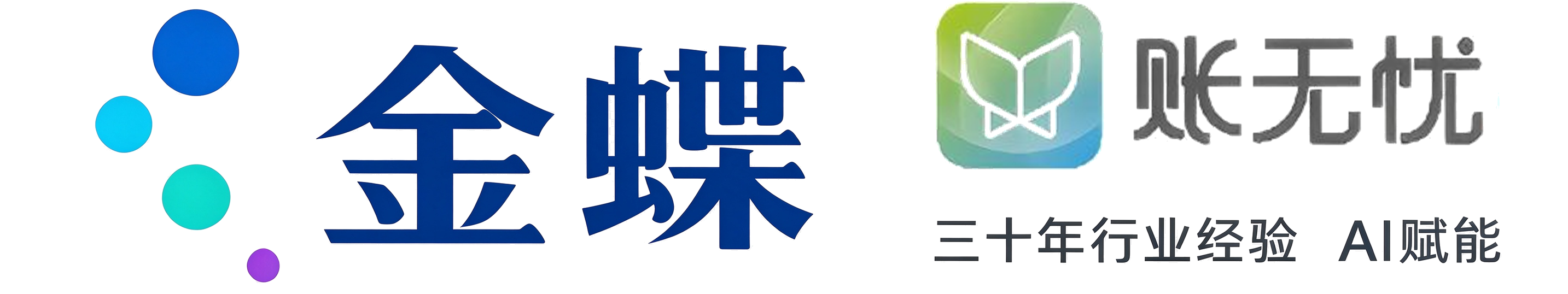 深圳金蝶账无忧网络科技有限公司