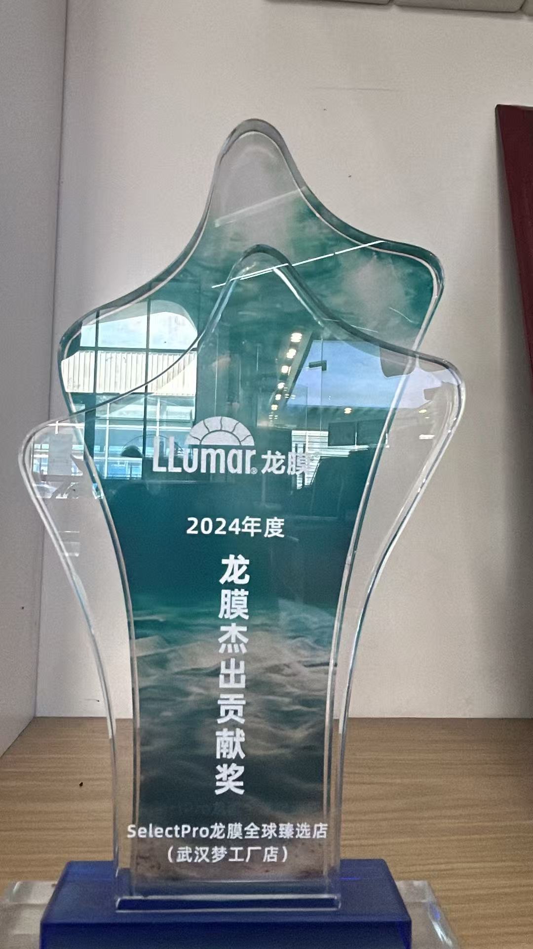 2024 年度龙膜杰出贡献奖奖杯 武汉梦工厂店