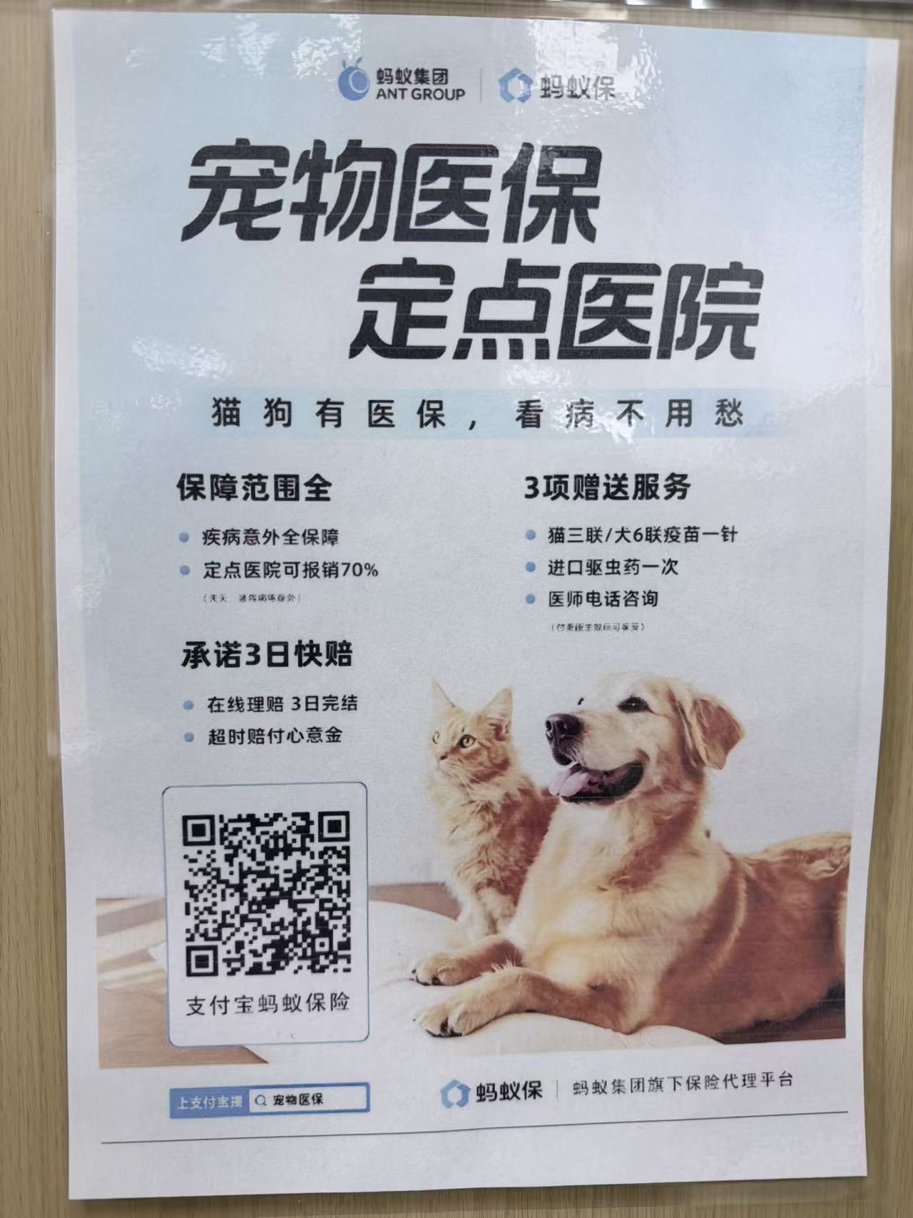 宠物医保