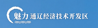 通辽经济技术开发区产业发展局