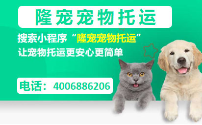 合肥集豚信息科技有限公司