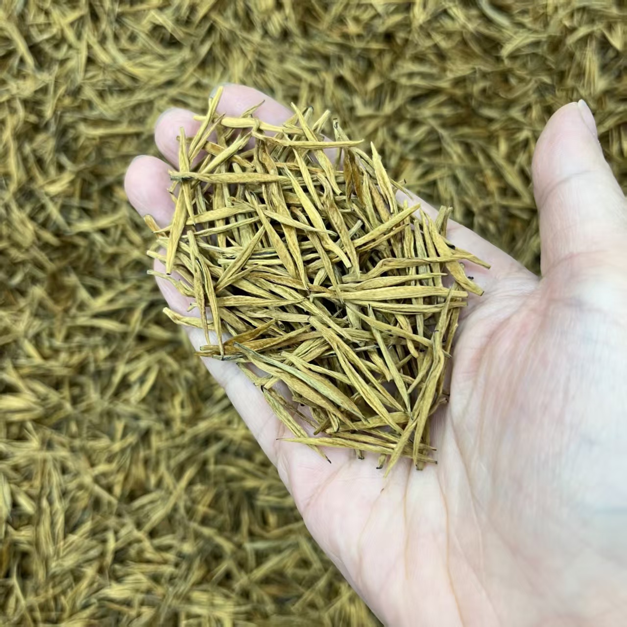 核心产区绿茶不苦不涩口感佳
