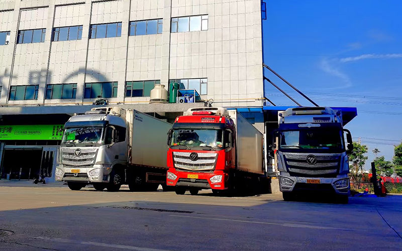 果蔬生鲜冷链运输难点解析：如何降低长途运输货损，保障食材新鲜度