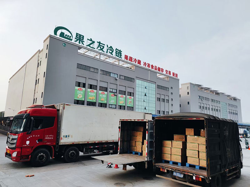 深耕生鲜冷链零担赛道，德莱物流四大核心冷链专线稳定护航果蔬流通